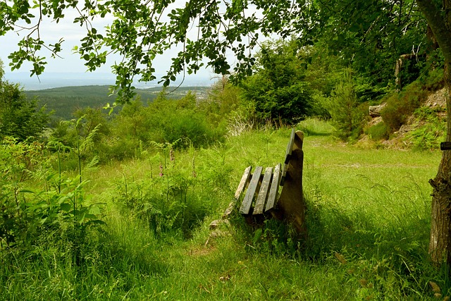 中選購裝備 中選購裝備
