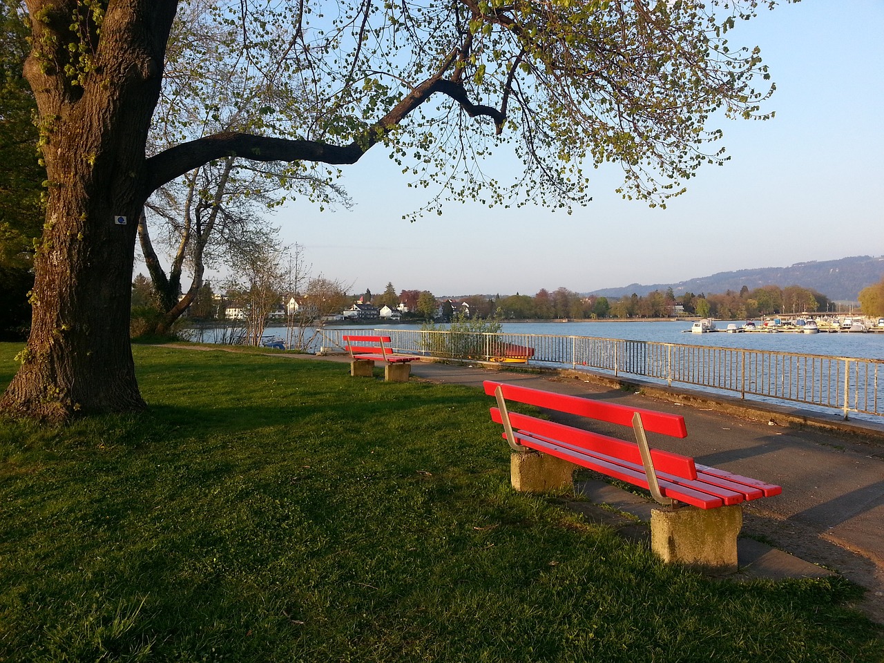 育之间的关 育之间的关