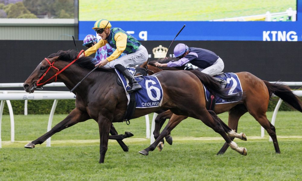 普摘下了眼 普摘下了眼